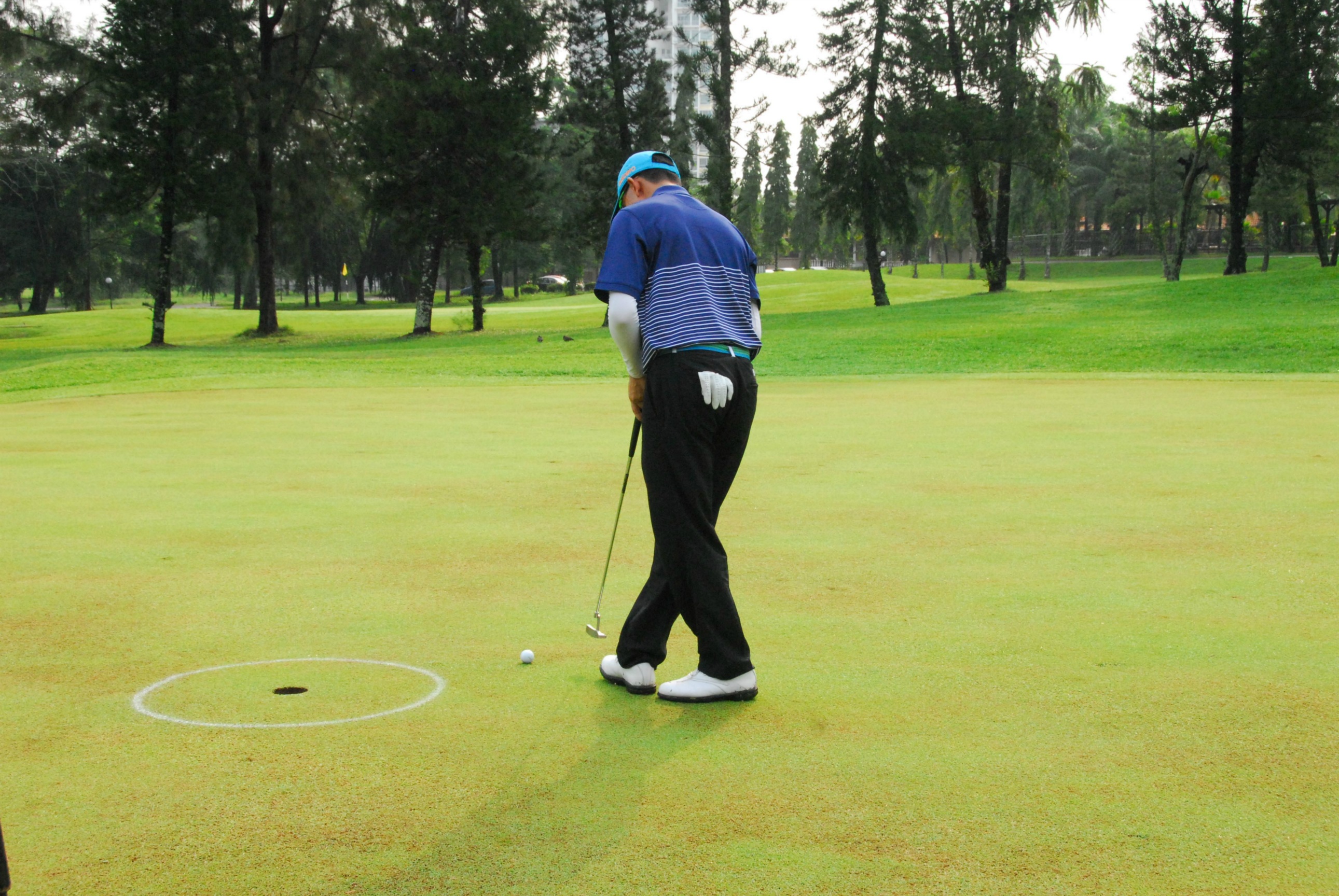 PRO15 157 GOLF DSC 0254.JPG